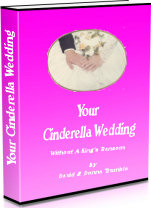 Cinderella Wedding and Wedding Minister in Austin, Texas 